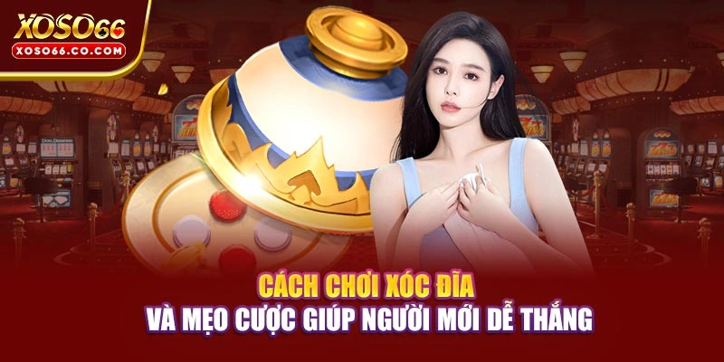 Cách Chơi Xóc Đĩa Và Mẹo Cược Giúp Người Mới Dễ Thắng