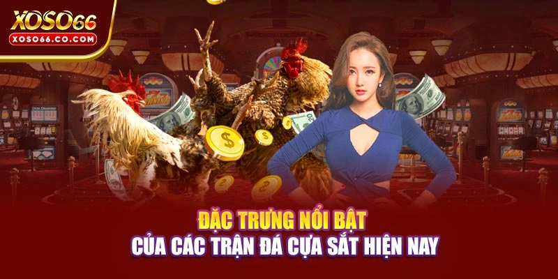 Đặc trưng nổi bật của các trận đá cựa sắt hiện nay