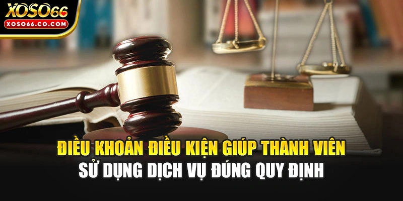 Điều khoản điều kiện giúp thành viên sử dụng dịch vụ đúng quy định