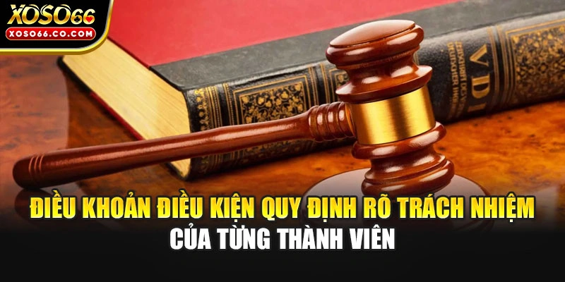 Điều khoản điều kiện quy định rõ trách nhiệm của từng thành viên