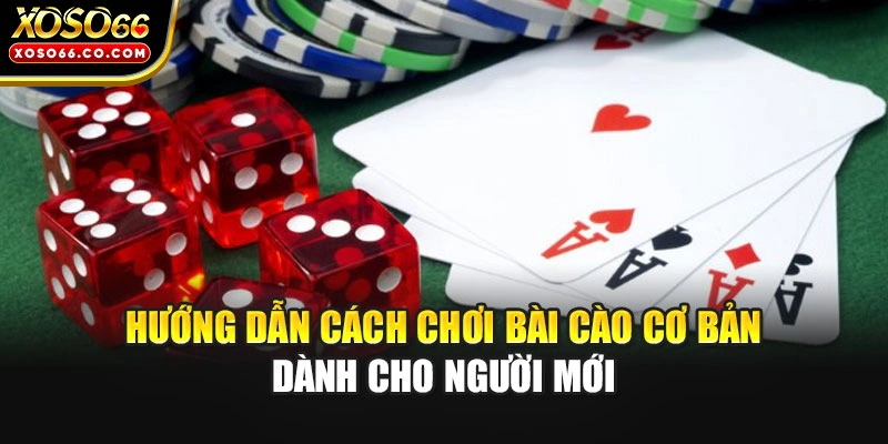 Hướng dẫn cách chơi bài cào cơ bản dành cho người mới