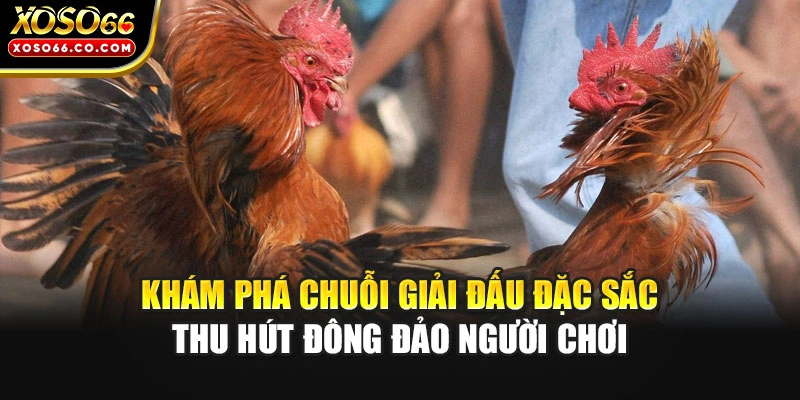 Khám phá chuỗi giải đấu đặc sắc thu hút đông đảo người chơi