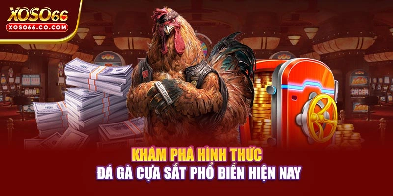 Khám phá hình thức đá gà cựa sắt phổ biến hiện nay