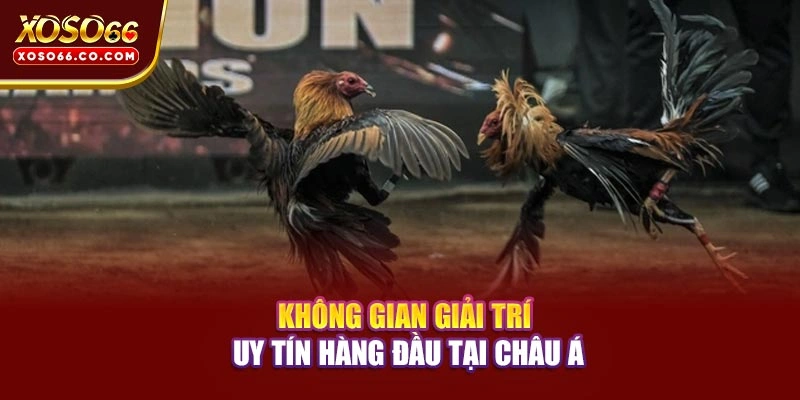 Không gian giải trí uy tín hàng đầu tại châu Á